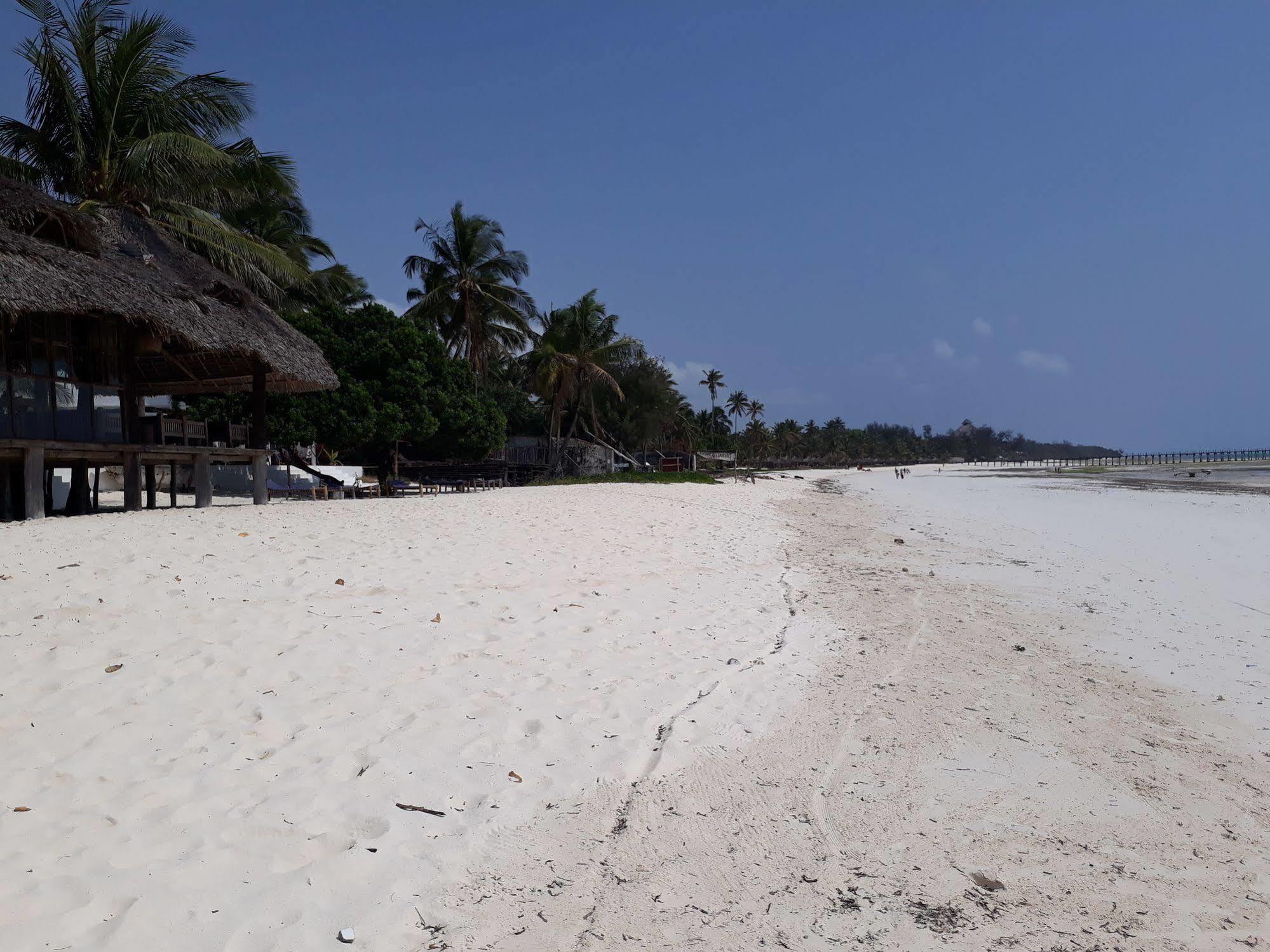 信天翁海景酒店 Dongwe 外观 照片